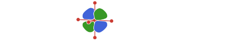 DFT-raMO.jl logo